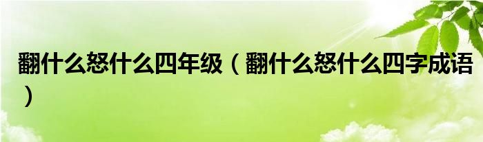 翻什么怒什么四年级(翻什么怒什么四字成语)