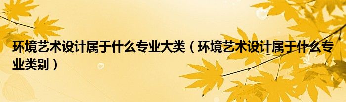 环境艺术设计属于什么专业大类(环境艺术设计属于什么专业类别)
