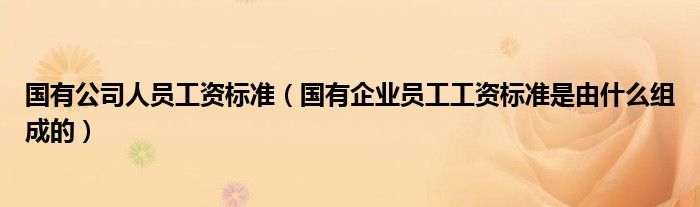 国有公司人员工资标准(国有企业员工工资标准是由什么组成的)