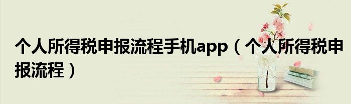 个人所得税申报流程手机app(个人所得税申报流程)