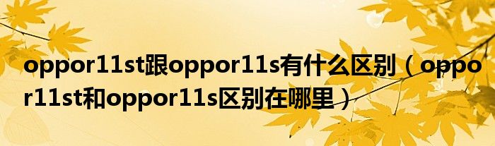 oppor11st跟oppor11s有什么区别(oppor11st和oppor11s区别在哪里)