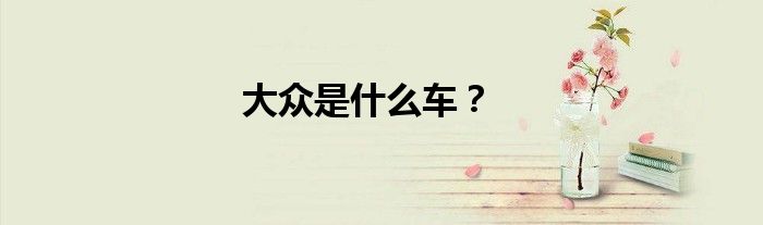 大众是什么车?