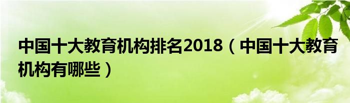 中国十大教育机构排名2018(中国十大教育机构有哪些)