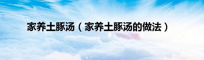 家养土豚汤(家养土豚汤的做法)