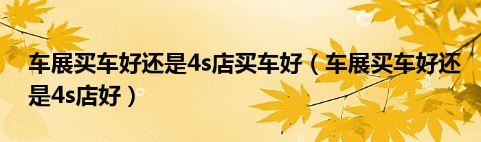 车展买车好还是4s店买车好(车展买车好还是4s店好)