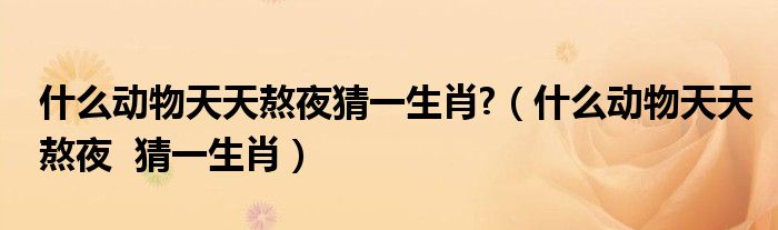 什么动物天天熬夜猜一生肖?(什么动物天天熬夜 猜一生肖)