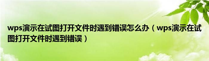 wps演示在试图打开文件时遇到错误怎么办(wps演示在试图打开文件时遇到错误)