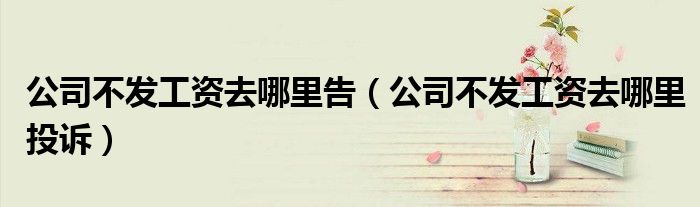 公司不发工资去哪里告(公司不发工资去哪里投诉)