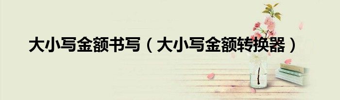 大小写金额书写(大小写金额转换器)