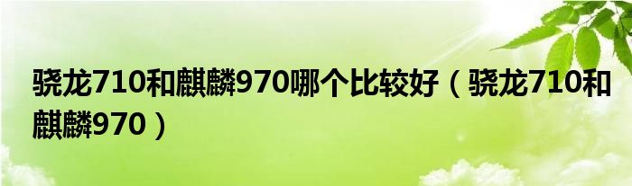 骁龙710和麒麟970哪个比较好(骁龙710和麒麟970)