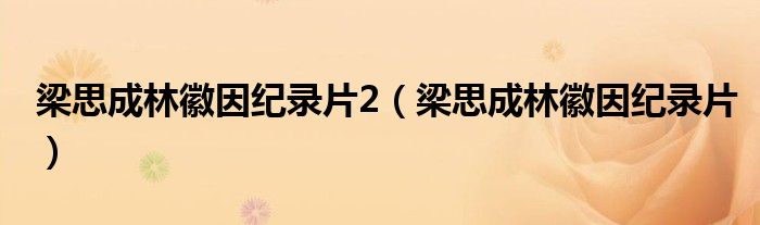 梁思成林徽因纪录片2(梁思成林徽因纪录片)