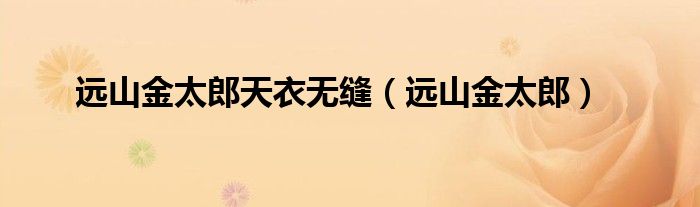 远山金太郎天衣无缝(远山金太郎)
