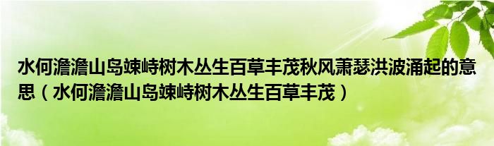 水何澹澹山岛竦峙树木丛生百草丰茂秋风萧瑟洪波涌起的意思(水何澹澹山岛竦峙树木丛生百草丰茂)