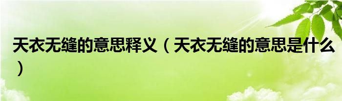 天衣无缝的意思释义(天衣无缝的意思是什么)