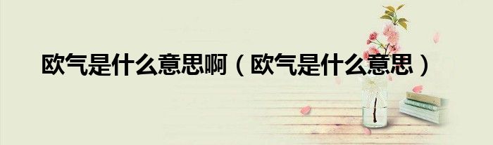 欧气是什么意思啊(欧气是什么意思)