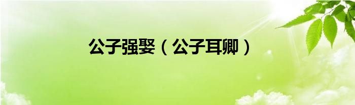 公子强娶（公子耳卿）