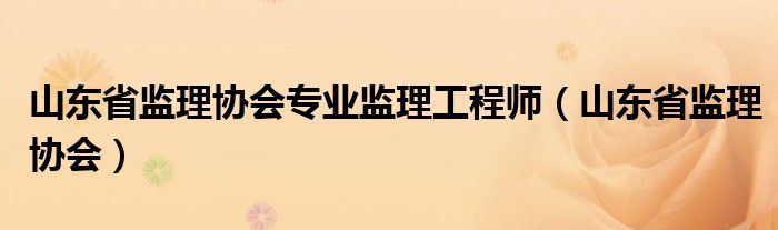 山东省监理协会专业监理工程师(山东省监理协会)