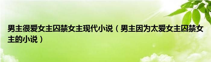 男主很爱女主囚禁女主现代小说(男主因为太爱女主囚禁女主的小说)