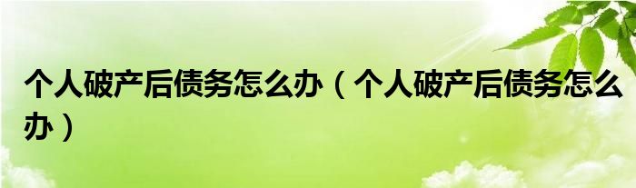 个人破产后债务怎么办(个人破产后债务怎么办)