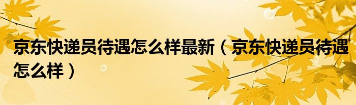 京东快递员待遇怎么样最新(京东快递员待遇怎么样)