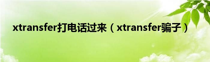 xtransfer打电话过来(xtransfer骗子)