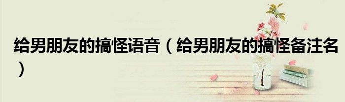 给男朋友的搞怪语音(给男朋友的搞怪备注名)