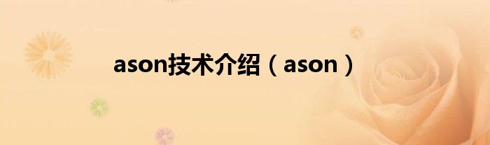 ason技术介绍(ason)