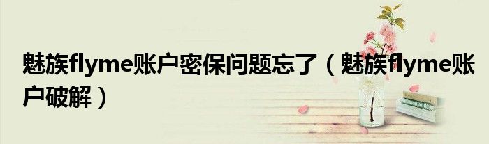 魅族flyme账户密保问题忘了(魅族flyme账户破解)
