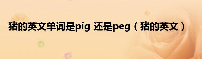 猪的英文单词是pig 还是peg(猪的英文)