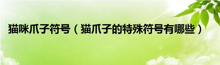 猫咪爪子符号(猫爪子的特殊符号有哪些)