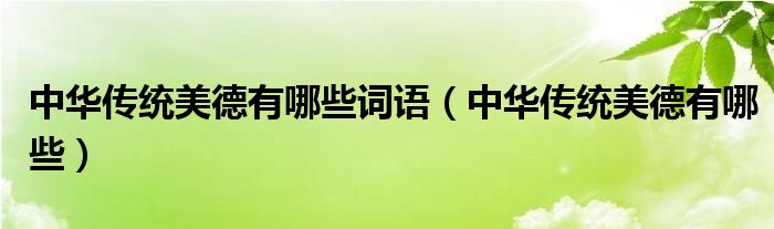 中华传统美德有哪些词语(中华传统美德有哪些)