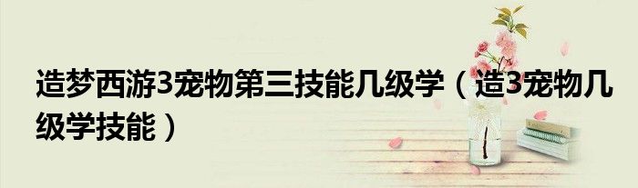 造梦西游3宠物第三技能几级学(造3宠物几级学技能)