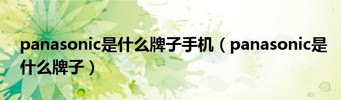 panasonic是什么牌子手机(panasonic是什么牌子)