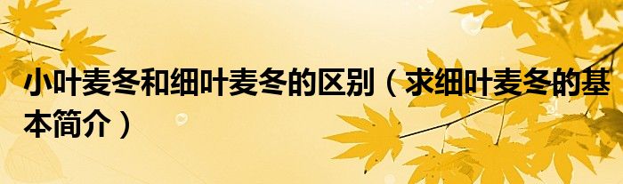 小叶麦冬和细叶麦冬的区别(求细叶麦冬的基本简介)