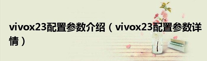 vivox23配置参数介绍(vivox23配置参数详情)