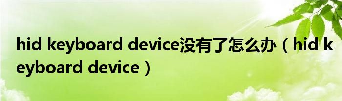 hid keyboard device没有了怎么办(hid keyboard device)
