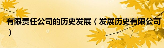 有限责任公司的历史发展(发展历史有限公司)