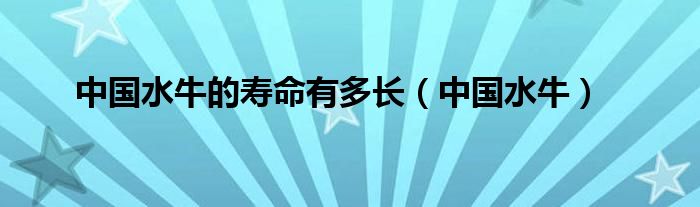 中国水牛的寿命有多长(中国水牛)