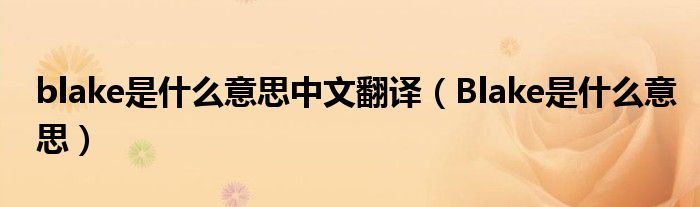 blake是什么意思中文翻译(Blake是什么意思)