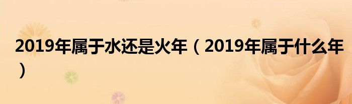 2019年属于水还是火年(2019年属于什么年)