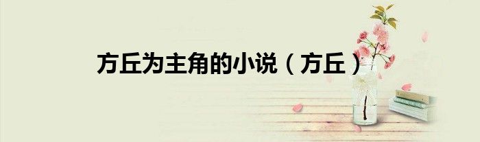方丘为主角的小说（方丘）