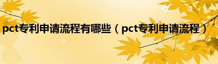 pct专利申请流程有哪些(pct专利申请流程)