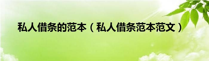 私人借条的范本(私人借条范本范文)