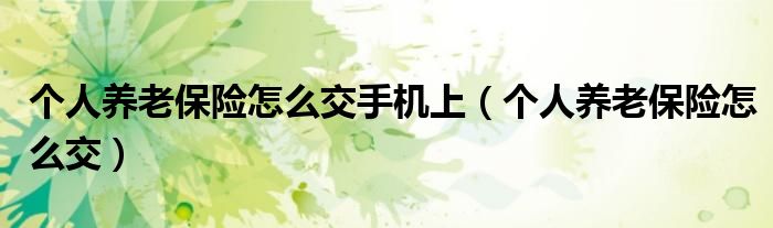 个人养老保险怎么交手机上(个人养老保险怎么交)
