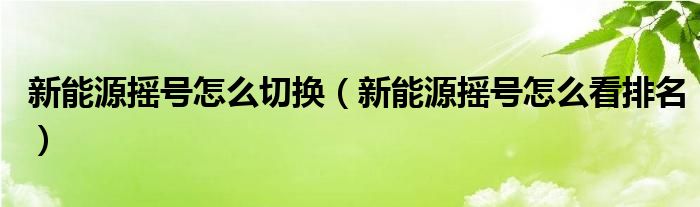 新能源摇号怎么切换(新能源摇号怎么看排名)