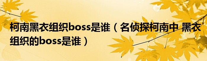 柯南黑衣组织boss是谁(名侦探柯南中 黑衣组织的boss是谁)