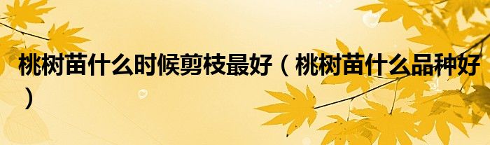桃树苗什么时候剪枝最好(桃树苗什么品种好)