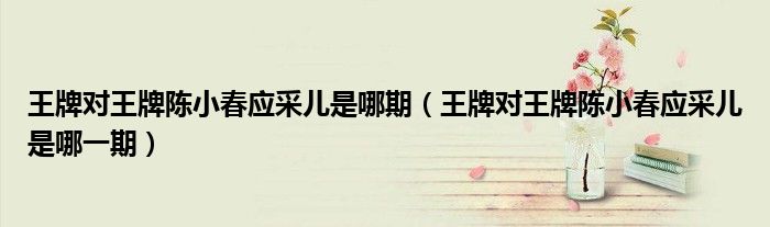 王牌对王牌陈小春应采儿是哪期(王牌对王牌陈小春应采儿是哪一期)