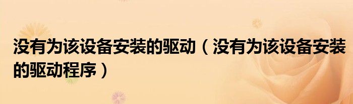 没有为该设备安装的驱动(没有为该设备安装的驱动程序)