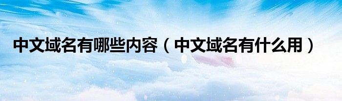 中文域名有哪些内容(中文域名有什么用)